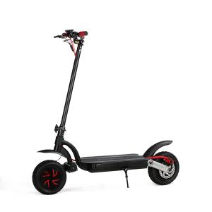 China 10 inch 700w dual motor 2 wheels folding electric scooter with double battery optional wholesale