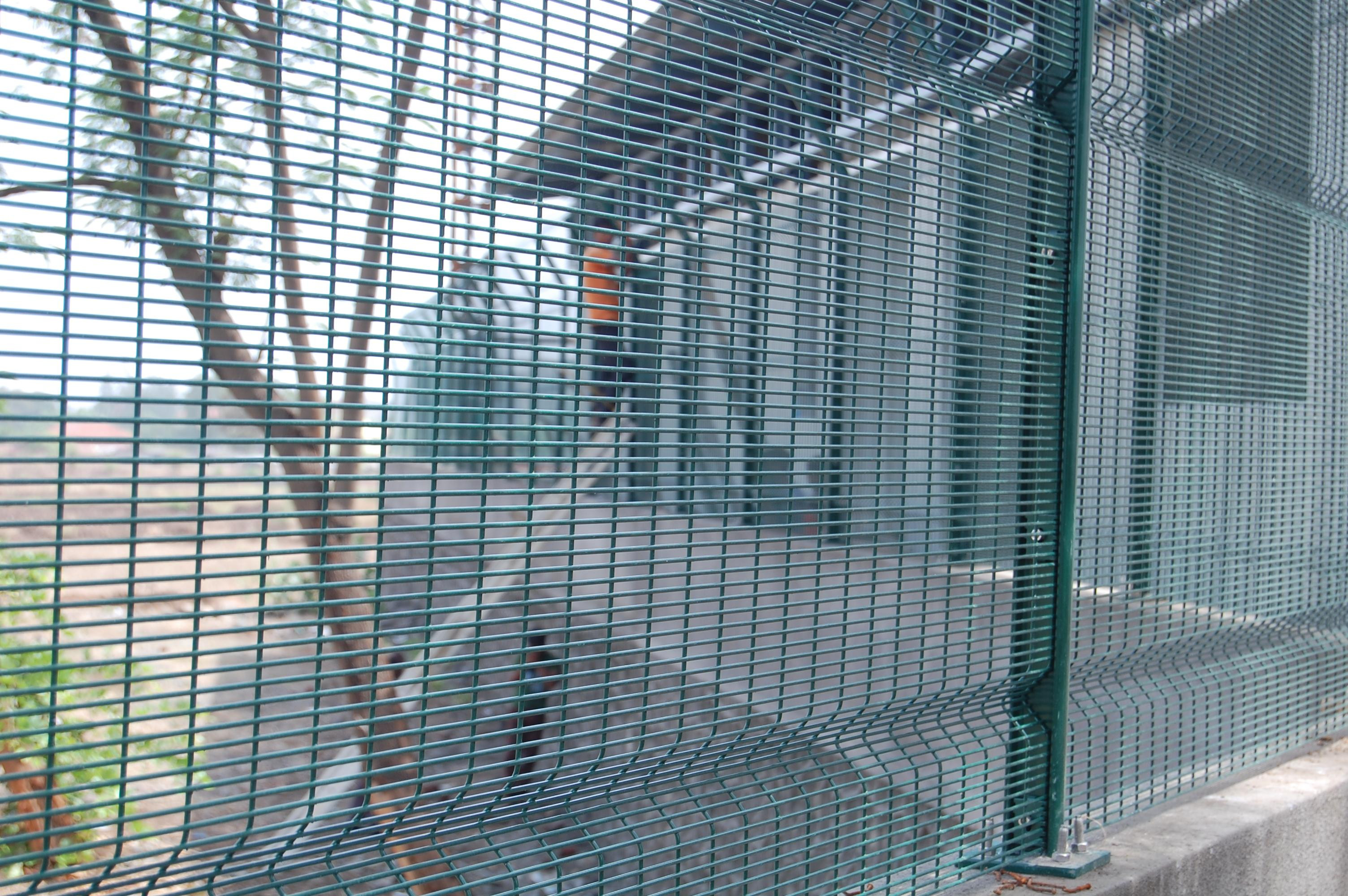 Green Color PVC Coated Welded Wire Mesh Panels/PVC Coated Prison 358 Security Fencing export to malaysia ,