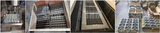Egg Tray Making Machine Production Line Customized Automatic Metal Drying System