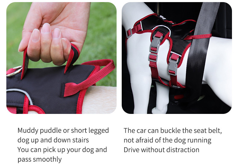 Dog harness for small and medium sized dogs, anti-breakaway dog ​​leash, reflective anti-escape leash