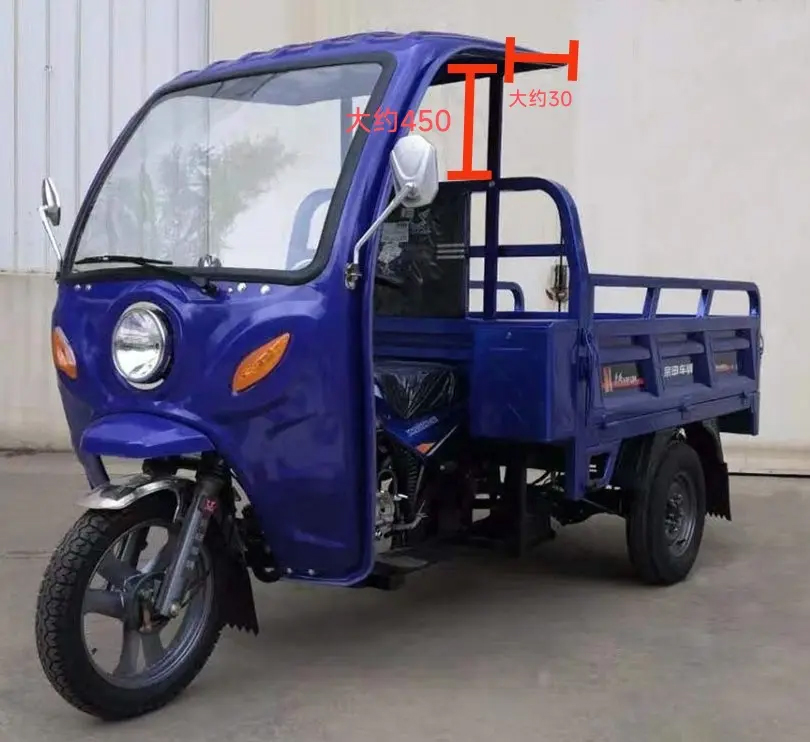 151 200cc Displacement 3 Wheel Gasoline Engine Motorized Petrol Cargo Tricycles for Adults