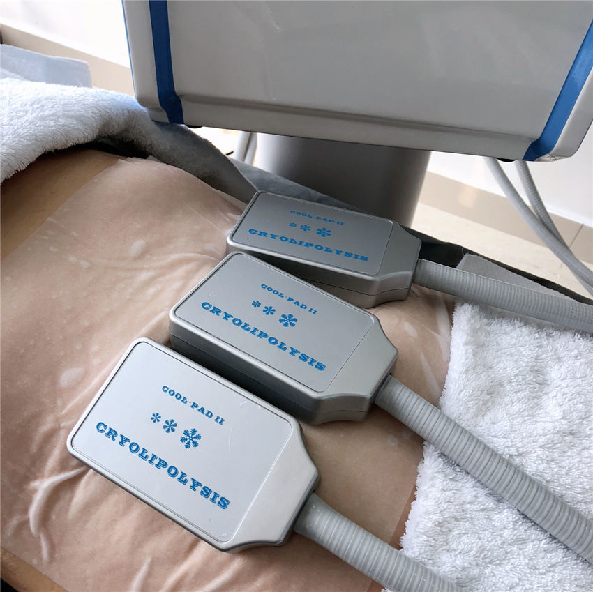 Cryolipolysis EMS Machine CRYO Beauty Salon Euqipment for Weilght Loss With 4 Handles