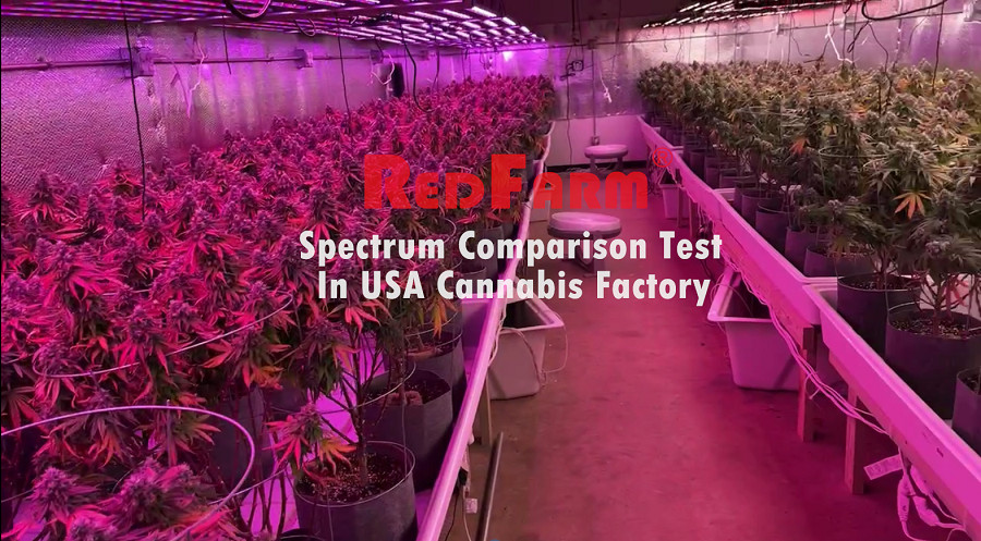 Foldable 650W 8Bars Full Spectrum LED Grow Lights Samsung LM301H Osram UV IR