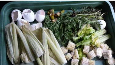 Food Waste Biochar Recycling Plant