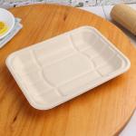 Eco Friendly Biodegradable Sugarcane Bagasse Tableware Disposable Compostable