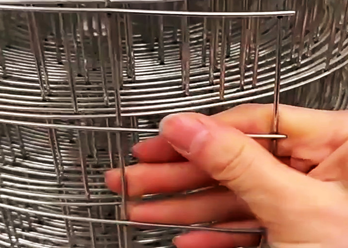 Agricultural Breeding 1.2mm-4mm Galvanized Steel Mesh Roll For Tensile Strength 350n 550n/M2