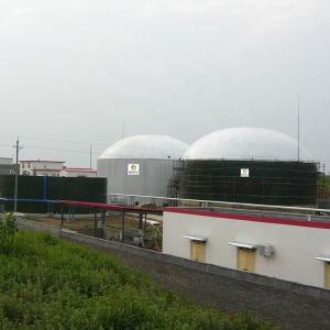 China Municipal Wastewater Treatment Anaerobic Digester Tank With 1 Year Warranty wholesale