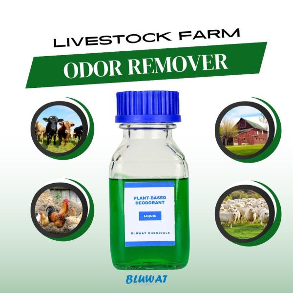 Livestock Farm Plant Deodorant For Sheep Compost Ammonia Odor Eliminator Cattle