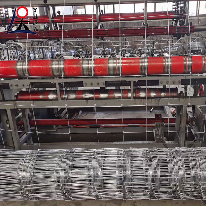 Grassland Mesh Galvanized Cattle Fence / Deer Fence High Tensile Field Fence 50m 100m