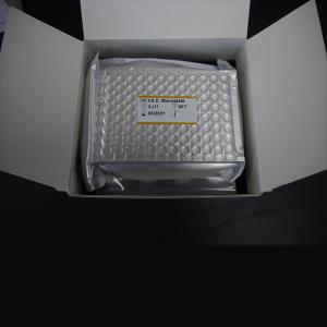 China Vitamin D Elisa Assay Kit For Research Setting wholesale