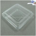 Disposable Fruit Packaging Box-Factory Offer Disposable Plastic takeaway