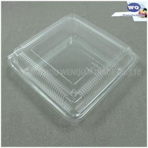Disposable Fruit Packaging Box-Factory Offer Disposable Plastic takeaway