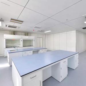 China Pharmaceutical Chemistry Laboratory Table Phenolic Resin Top School Lab Furniture on sale