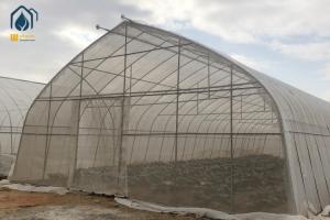 China Oval Tube Film Multi Span Greenhouse Arched Commercial Greenhouse Frame wholesale