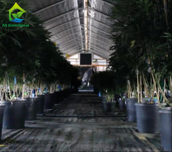 Commercial Backyard Light Dep Greenhouse Plastic Film Hot Galvanized Steel