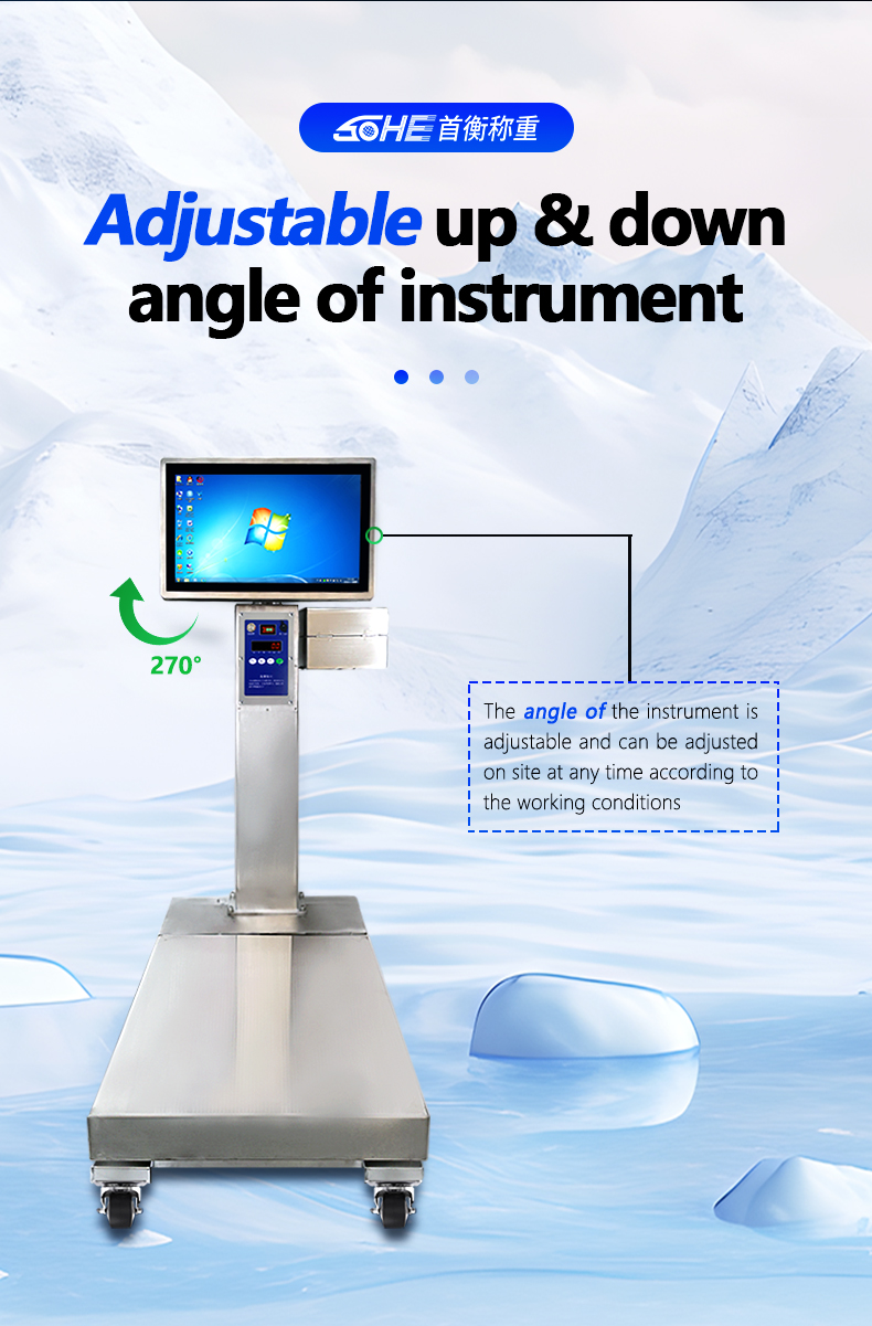 Intelligent Scale Mobile Battery with Full Waterproof Design and 50cm * 60cm Platform