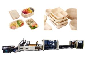China Container Plastic Food Container Manufacturing Machine Takeaway Packaging 55kw wholesale