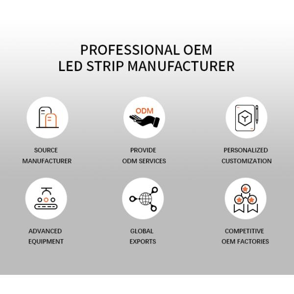 3D Bendable Neon Light 16*16mm RGB RGBW Flexible Waterproof IP67 Outdoor LED Wall Washer