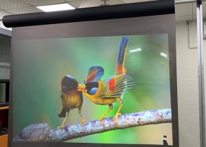 China 3D 3000 Lumens Advertising clear rear projection film Hologram Technology wholesale