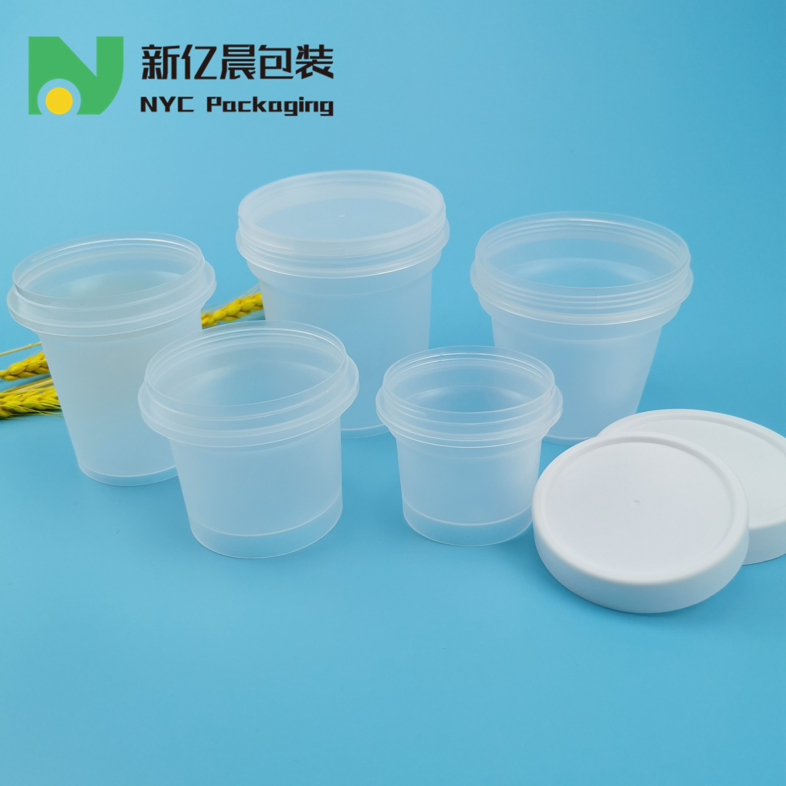 100g Plastic Airtight Jars