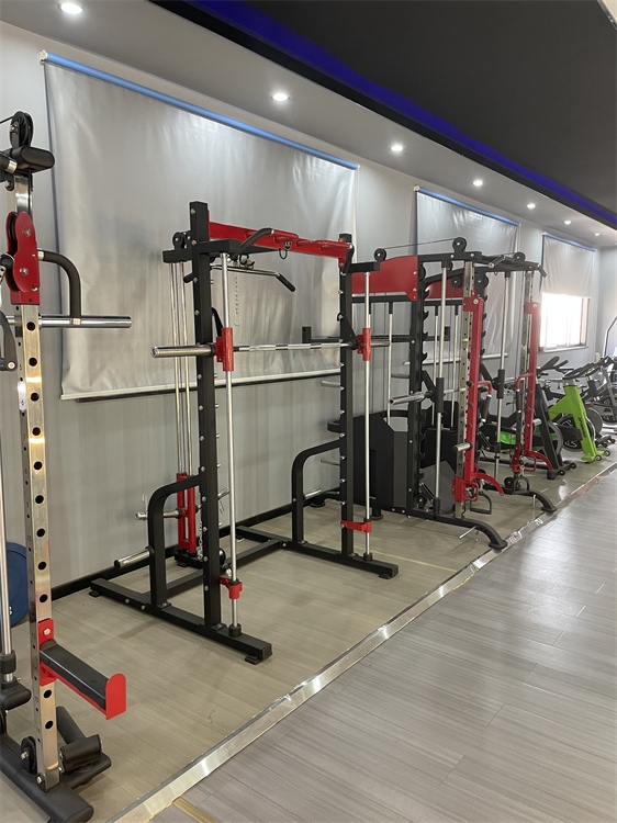 Home Gym Training Equipment Steel & Metal Bodybuilding Fitness Power Plate with Weight Bench Barbell Bar & Half Squat Rack