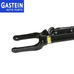 Mercedes R-CLASS W251 V251 2513203013 Front Shock Absorber