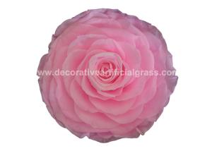 China 100% Real A Grade Preserved Long Lasting Rose Flower For Wedding Decoration wholesale