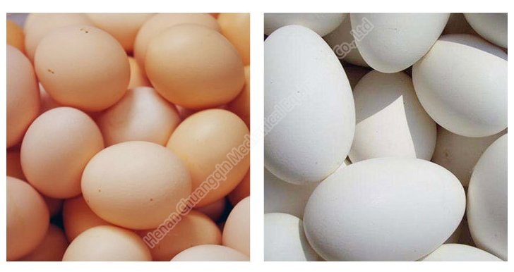 High Capacity Full Automatic Egg Washing Machine Rolling Brush Egg Washer Wear Resistance
