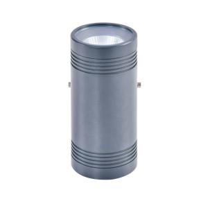 China Hardwired Outdoor Wall Mounted Lights 40W RGB Wall Mount Modern Style wholesale
