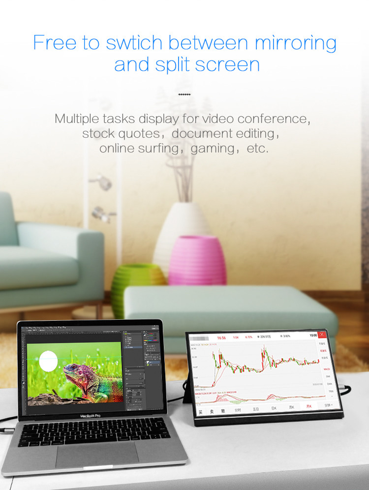 1000:1 Contrast Ratio 1920*1080 IPS Screen 14 Inch Portable Monitor