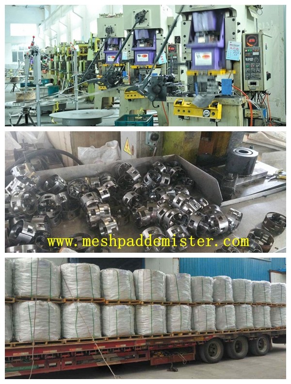 25mm 304 Metal Pall Ring Distribution Of Gas Liquid Tower Packing
