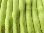 Grey Green Fluffy Fabric Material Fluffy Upholstery Fabric