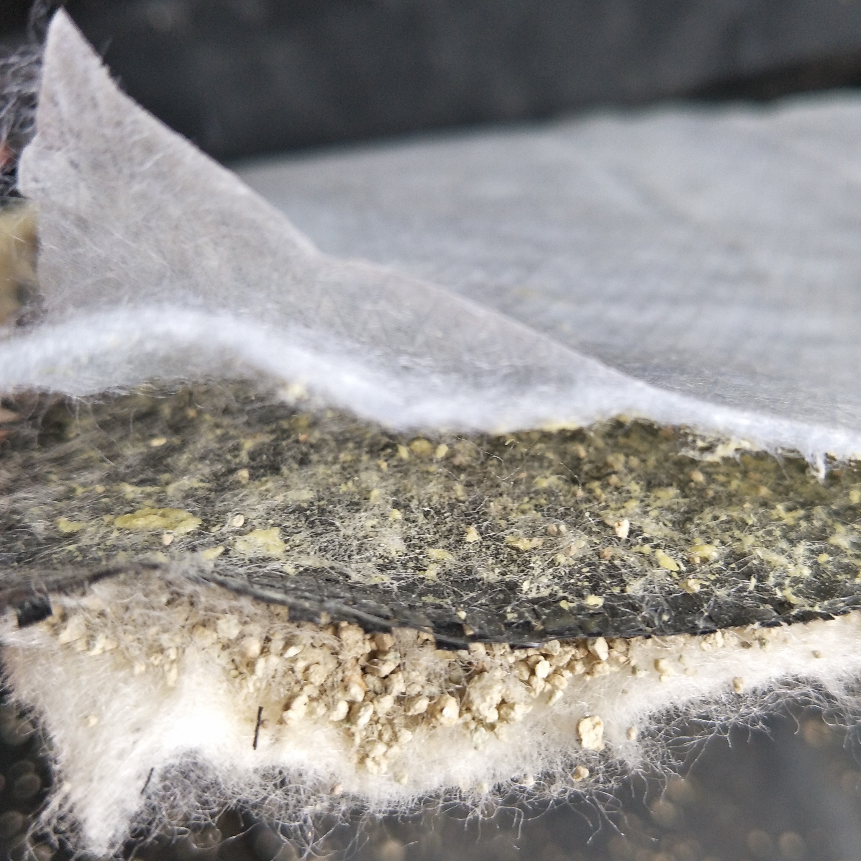 Eco-friendly Geosynthetic Clay Liners and HDPE Membrane Composite for Landfill Projects