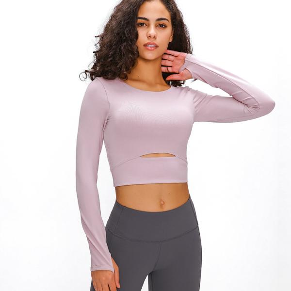 Padded Hot Hollow Sports Long Sleeve Yoga Shirt Gym Plain Crop Top Womens