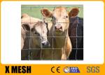 PVC Coated Metal Farm Fence 1400 Mpa Cattle Fence Panels