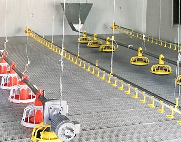 0.75kw Closed System Of Feeding In Poultry