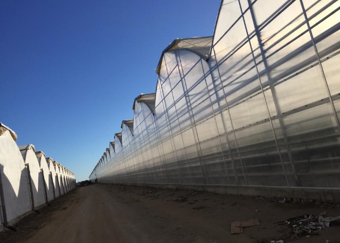 10x12 6x4 4x2 Pc Sheet Large Polycarbonate Greenhouse Growing Tomaotes Cucumber Growing System