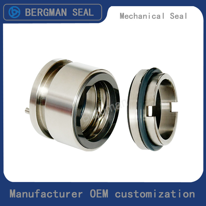 Bergman OEM W01 W02 W03 Rotor Pump Sanitary Pumps Food Pumps Seals Mechanical Seal