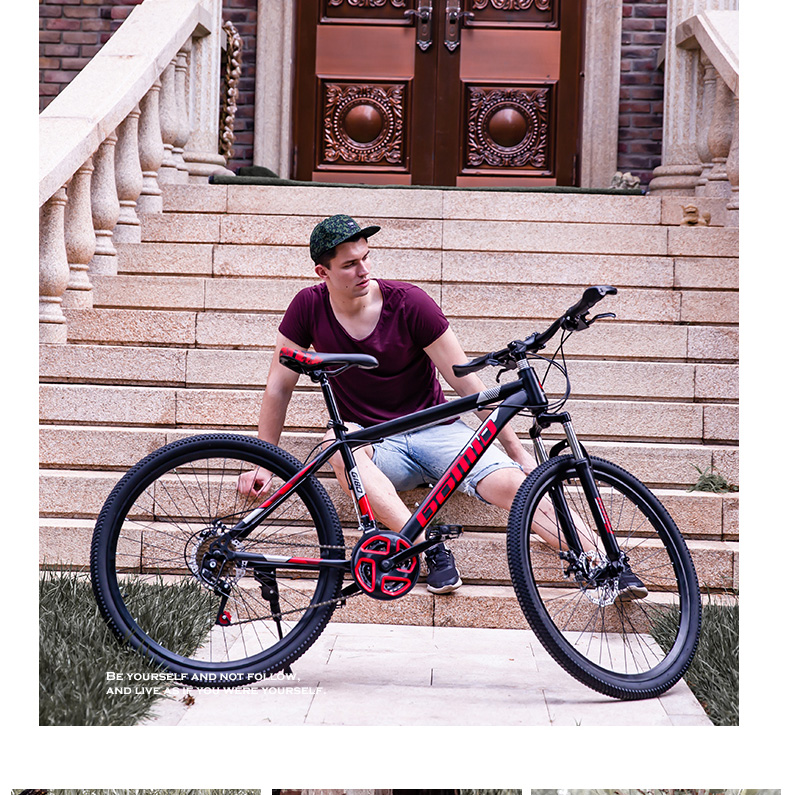 29 Inch Mountain Bike Customizable OEM Mountain Bicycle For Comfortable Riding Experience