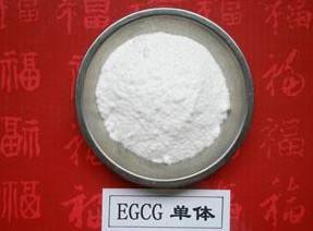 China 100% Natural Green Tea Extract Polyphenols and EGCG 98% powder wholesale
