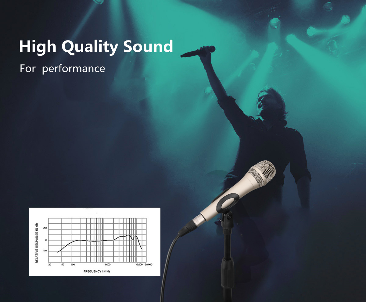 Anti Rust All Metal Studio Condenser Microphone 48V 12V OEM ODM