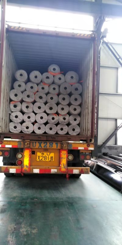 3D Geomat HDPE PE Plastic Net for 2.0m-2.5m Width Erosion Control and Drainage System