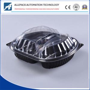 China OEM Disposable Plastic Containers , Disposable Clear Food Box Plastic Box wholesale