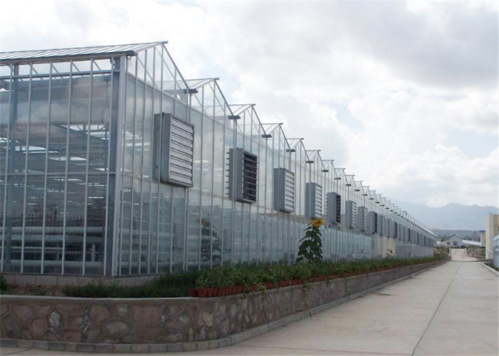 Good Reliability Agricultural Glass Greenhouse 4mm / 5mm Glass Covering
