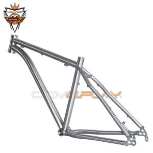 China Titanium Hardtail 29er Mountain Bike Frame Dropout Thru Axle Hanger Post Mount Disc Brake wholesale