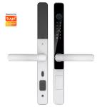 Glomarket Smart Tuya Waterproof Door Lock Sliding Door Fingerprint Password