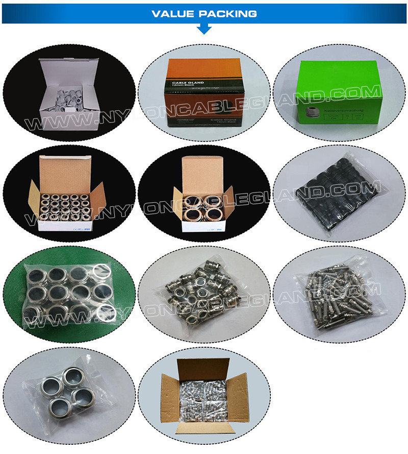 Type 316L, 316, 304 Stainless Steel IP68 Cable Gland M100x2.0 Metric Thread (EN 60423) for 78mm~84mm Cables