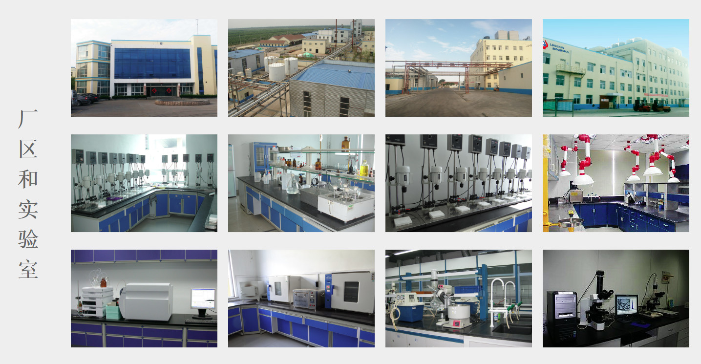High Purity Yellowish White Powder Substitute Cellulose For Textile Industry TP3000