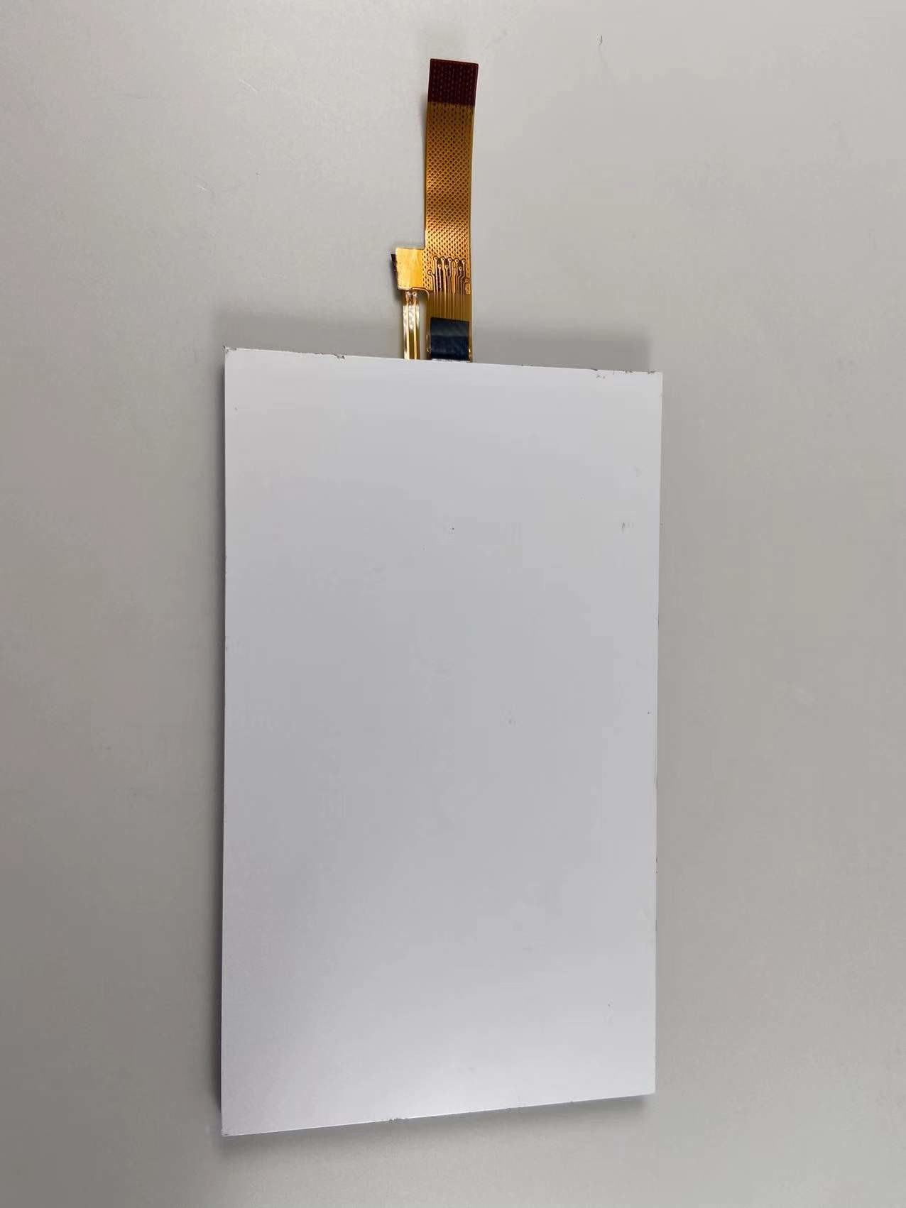 FSTN Graphic COG Display Screen Dot Matrix Lcd Module Custom 128*64