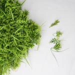 Fake Hedge 17 Inch Artificial Green Walls PE PP